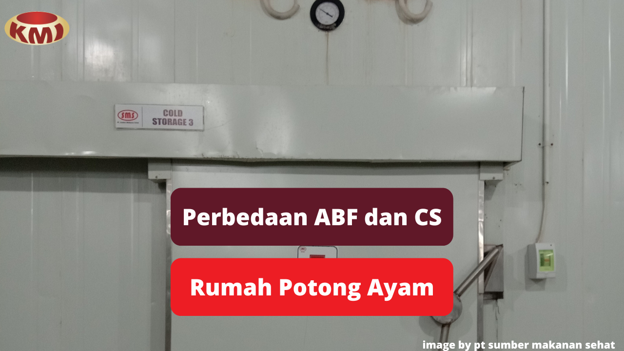 Berikut Inilah Perbedaan ABF dan CS di Rumah Potong Ayam